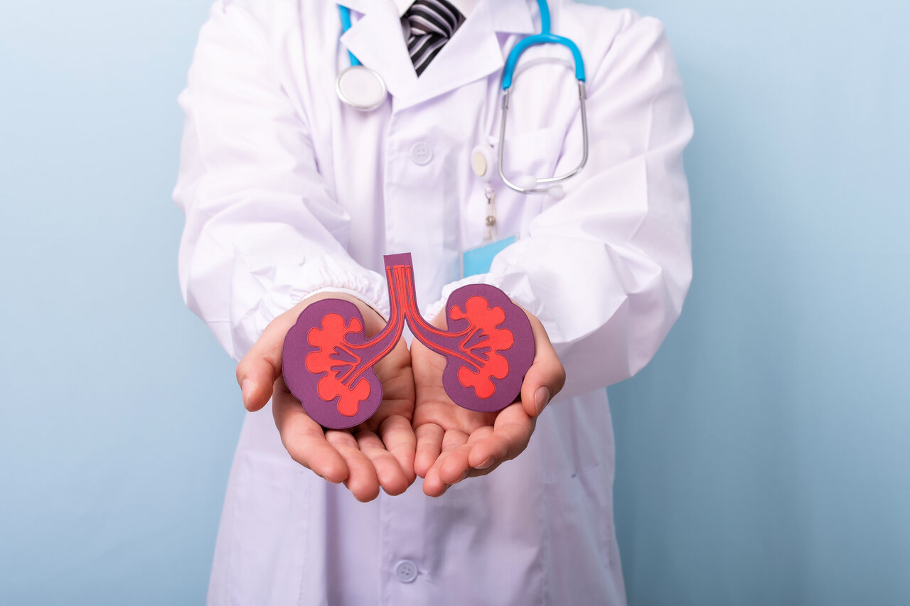 Urologia